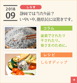 2018/09【しらす】静岡では当たり前？いやいや、他県民には驚きです。【コラム】釜茹でされたり干されたり。皆さまのために。【レシピ】しらすディップ