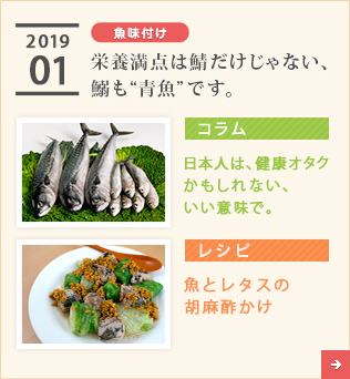 2019/01【魚味付け】栄養満点は鯖だけじゃない、鰯も“青魚”です。【コラム】日本人は、健康オタクかもしれない、いい意味で。【レシピ】魚とレタスの胡麻酢かけ