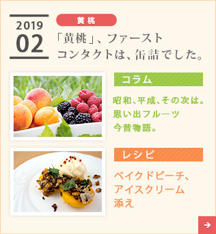 2019/02【黄桃】「黄桃」、ファーストコンタクトは、缶詰でした。【コラム】昭和、平成、その次は。思い出フルーツ今昔物語。【レシピ】ベイクドピーチ、アイスクリーム添え